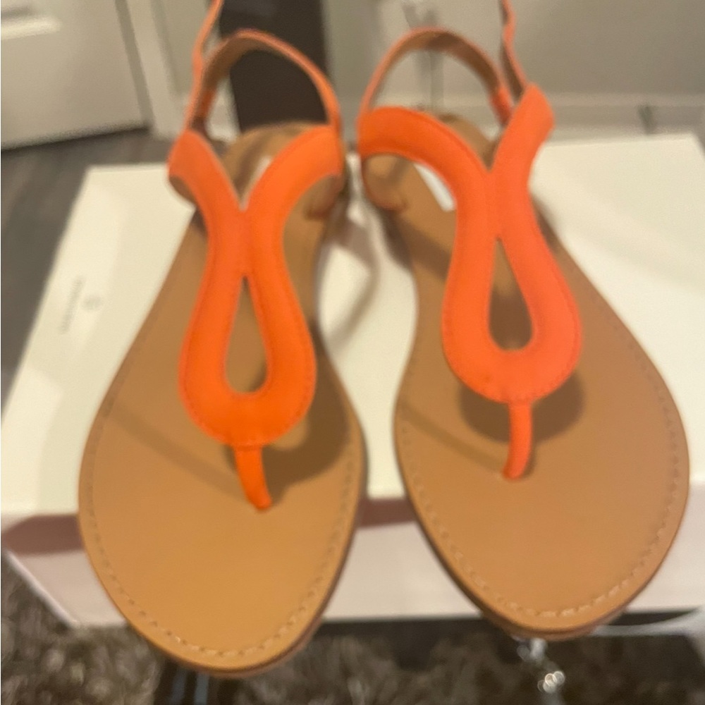 COPY - 🆕Steve Madden Sandals